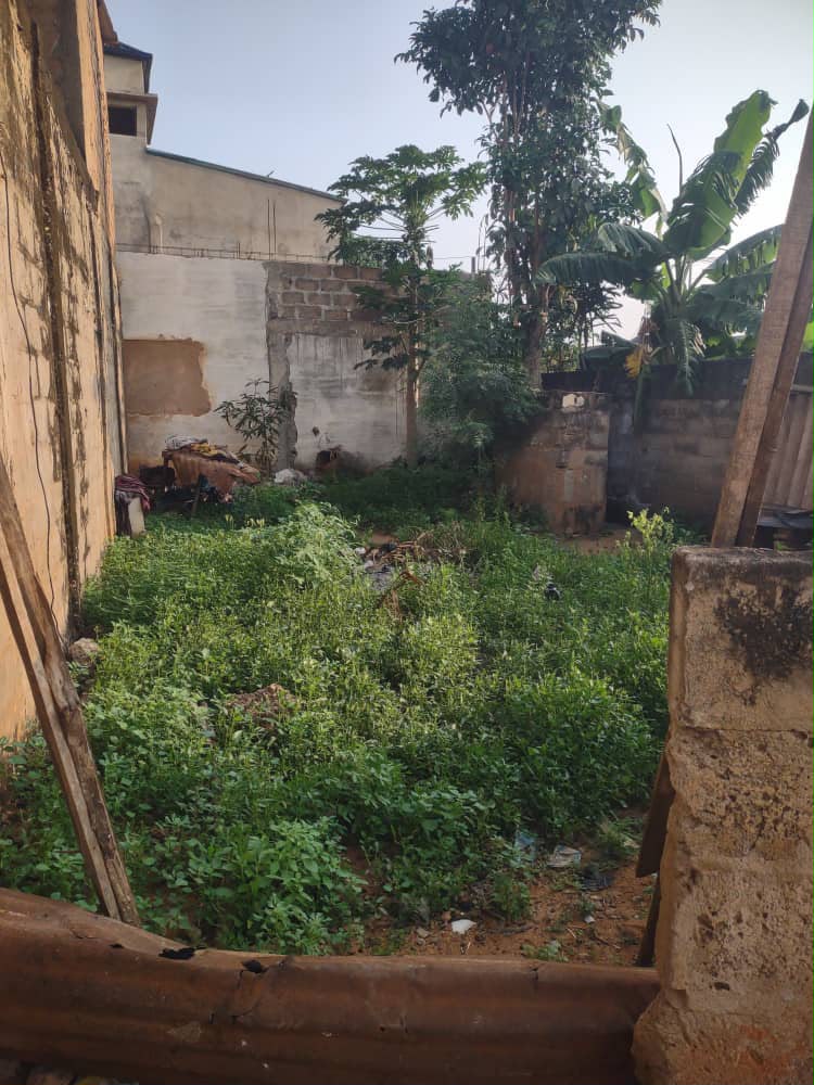 Terrain de 150 m² en vente à Kégué Attigangomé en angle de rue – 13 millions FCFA