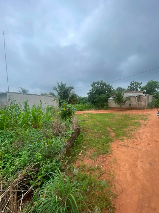 Terrain de 150 m² en vente à Zanguera – 3 500 000 FCFA