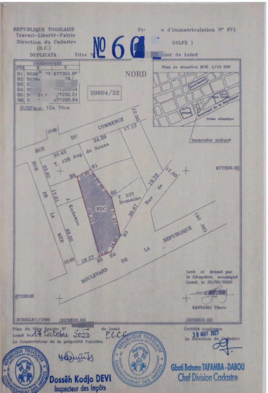 Terrain de 2 lots en vente à Assigamé – 1 800 000 000 FCFA