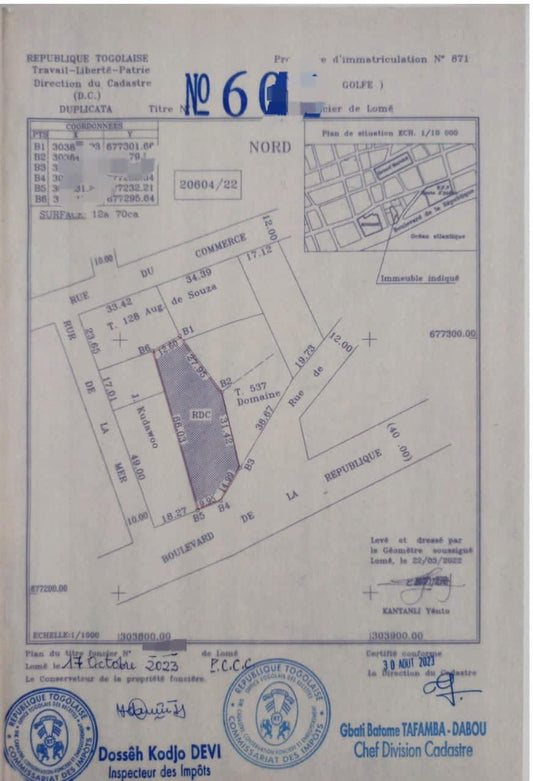 Terrain de 2 lots en vente à Assigamé – 1 800 000 000 FCFA