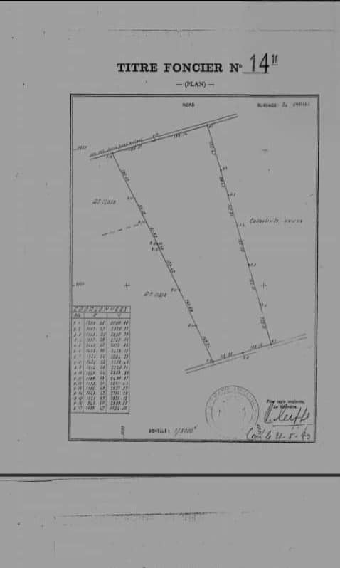 Terrain de 240000 m² en vente à Glekondji Gilgal – 2.500.000 FCFA l'hectare