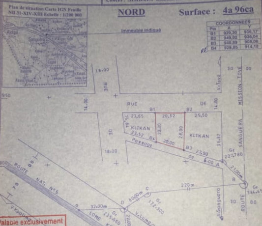 Terrain de 300 m² en vente à Zanguéra Klikamé – 15 millions FCFA