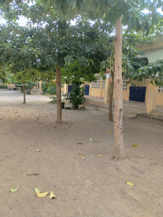 Complexe scolaire en vente à Zanguéra Klémé – 300 millions FCFA