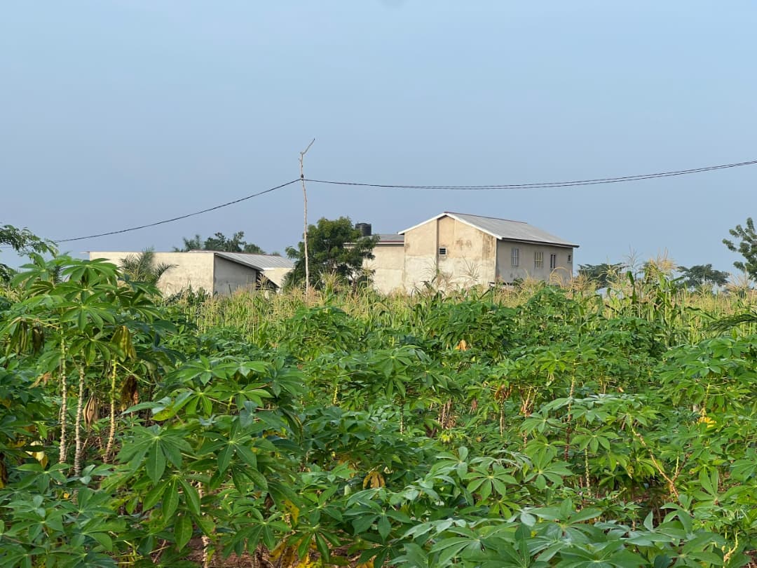 Terrain de 579 m² en vente à Kovié Adidomé – 6 000 000 FCFA