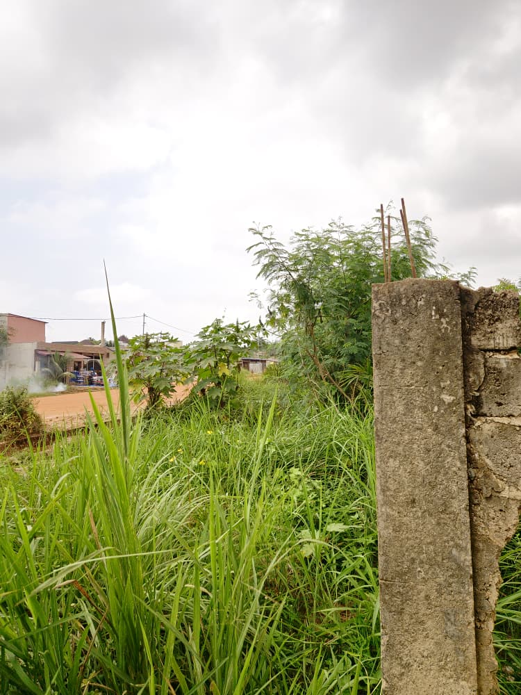 Terrain en vente en bordure de grande route de 30m à Agoè Sogbossito Somayaf – 15 000 000 FCFA