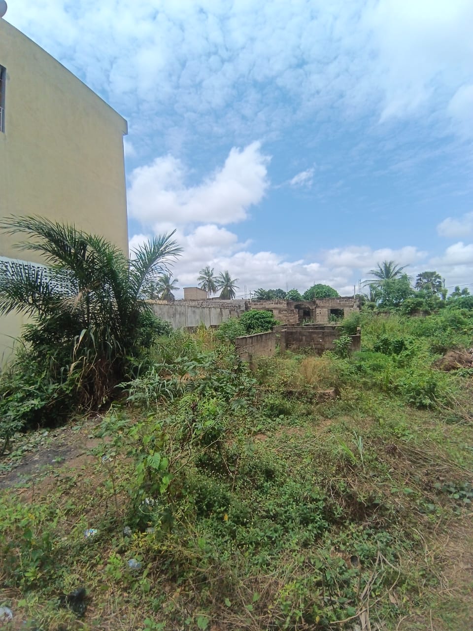 Terrain demi lot à vendre à Adidogomé Technocrate Massalasssi – 18 millions FCFA