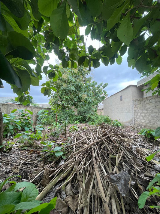 Terrain en vente à Adidogomé Segbé – 12 000 000 FCFA