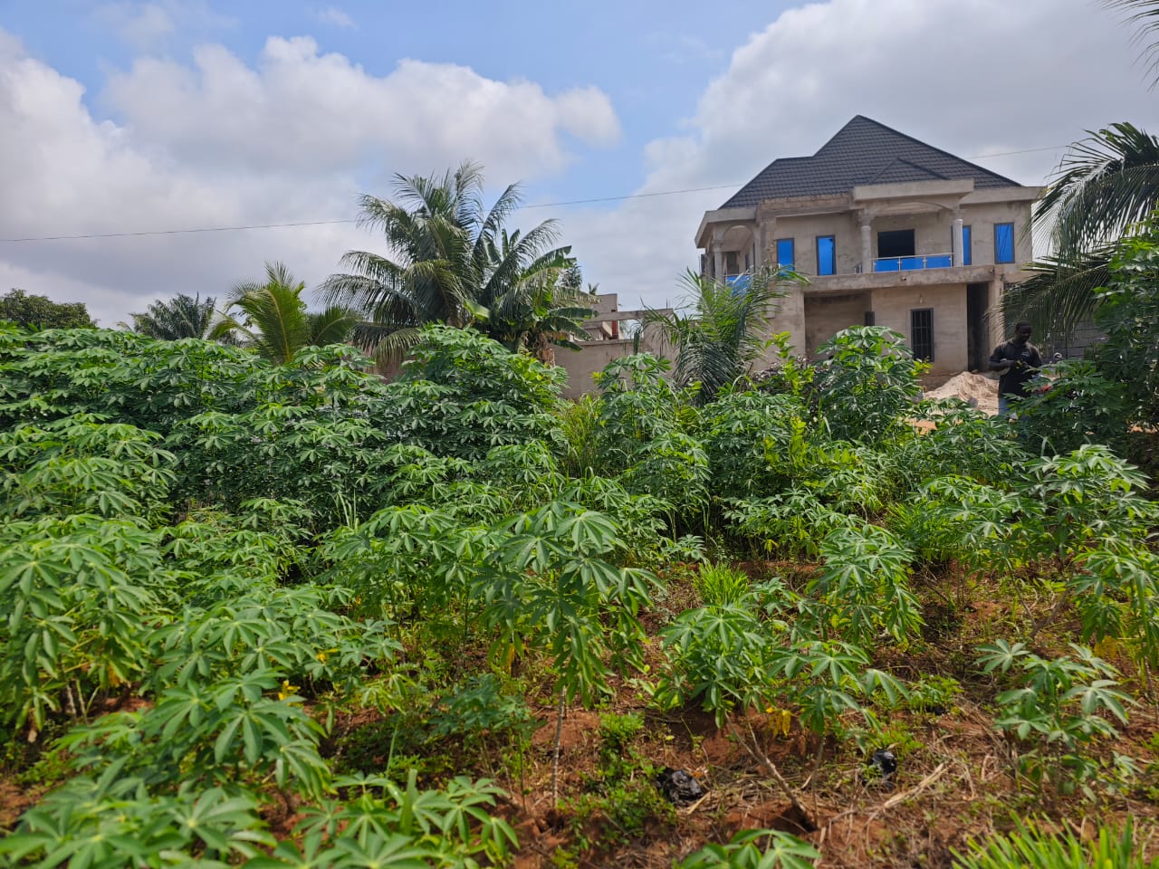 Terrain de 600 m² en vente à Agoè Légbassito – 25 000 000 FCFA