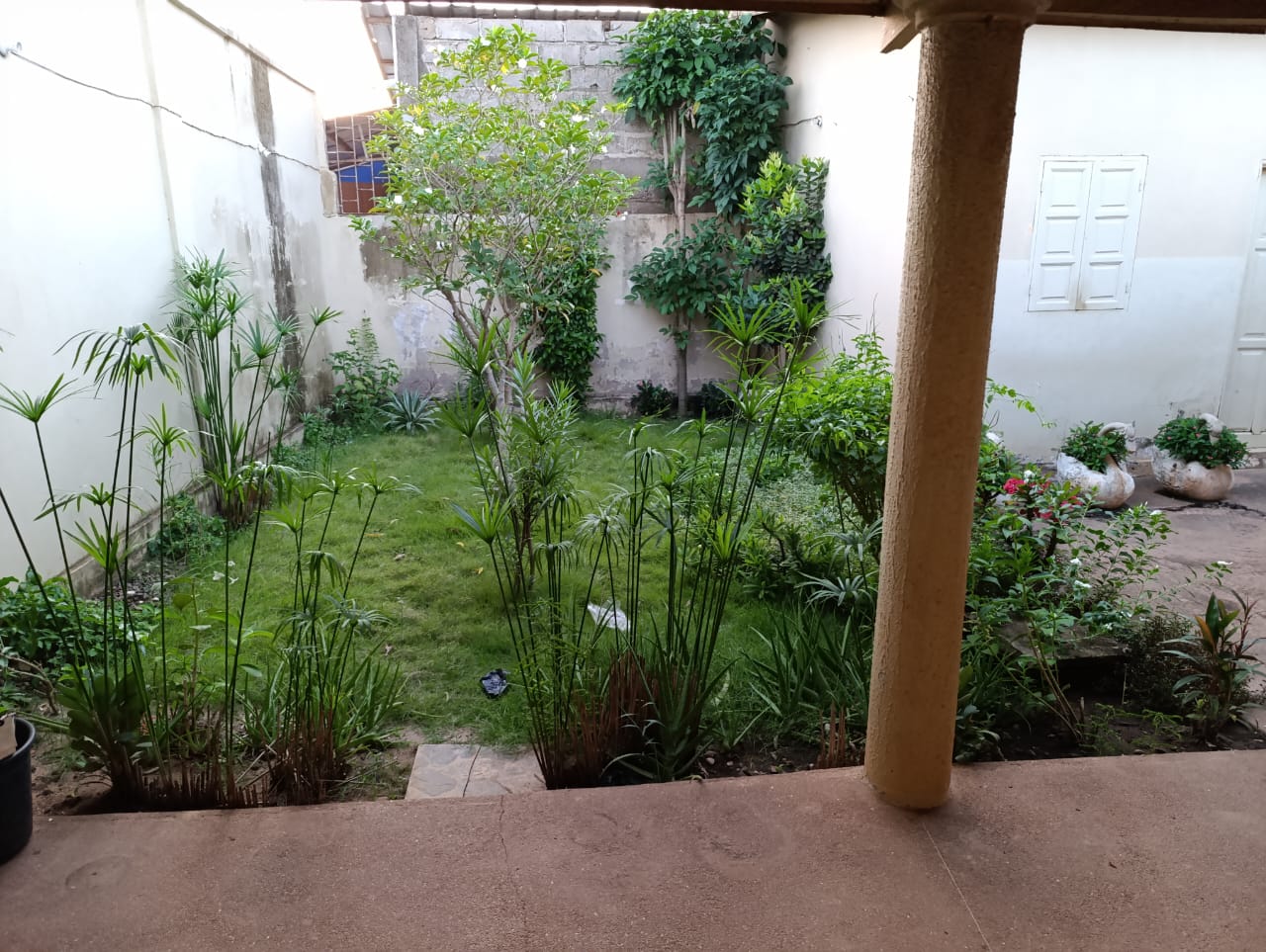 Maison à vendre au bord du goudron à Zanguera – 35 millions FCFA