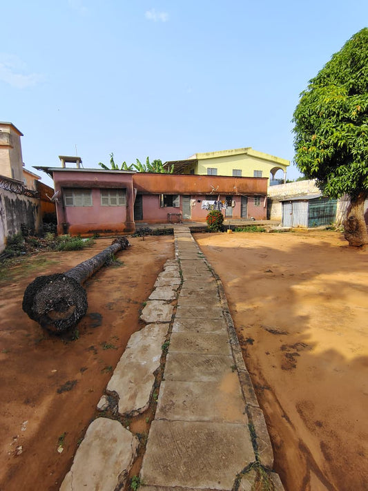 1 lot avec ancienne maison de 4 pièces à raser en vente à 200 m du goudron à Tokoin Hôpital – 80 000 000 FCFA