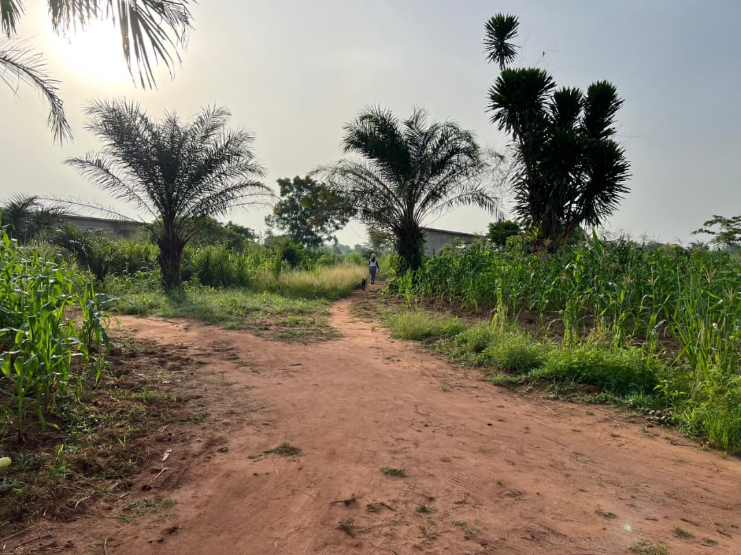 Terrain de 579 m² en vente à Kovié Adidomé – 6 000 000 FCFA
