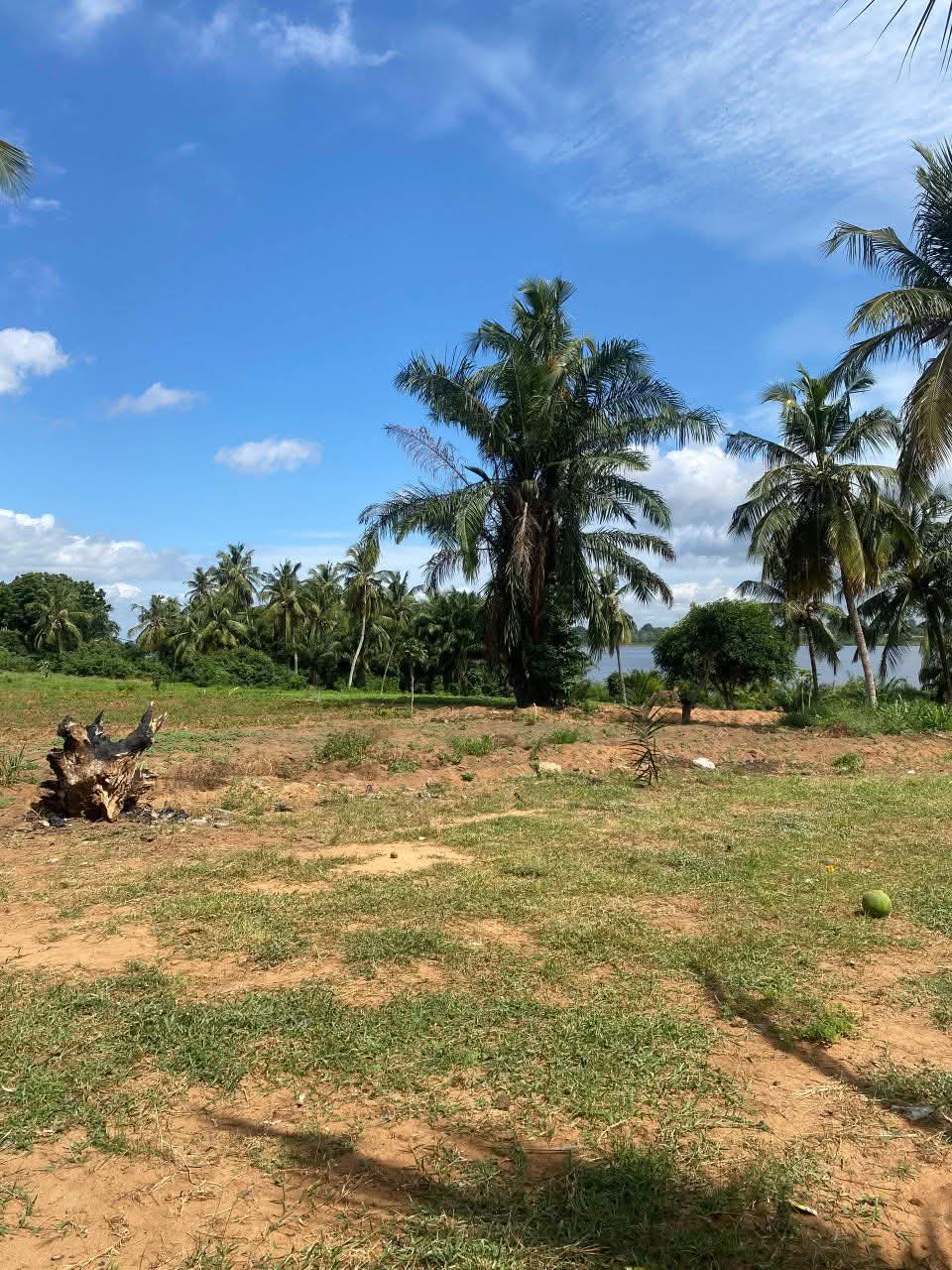Terrain de 07 lots en vente au bord du Lac Togo en bordure du goudron RN2 à Djassamé – 25 000 000 FCFA le lot