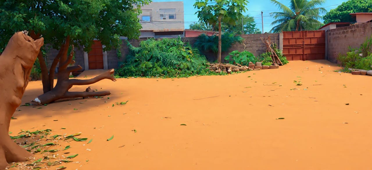 Terrain de 600 m² en vente à Agoè Assiyéyé Fiovi, proche goudron – 57 000 000 FCFA