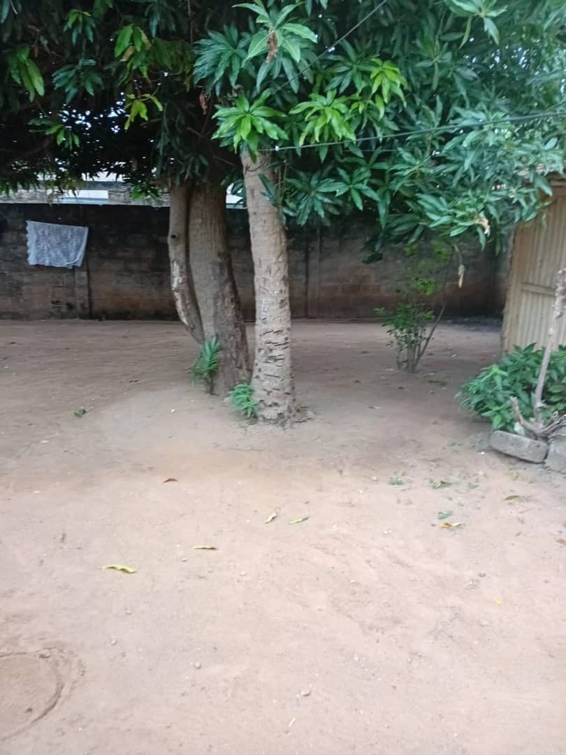 Terrain de 300 m² en vente à Avédji Coconut, à 120m du goudron – 25 millions FCFA