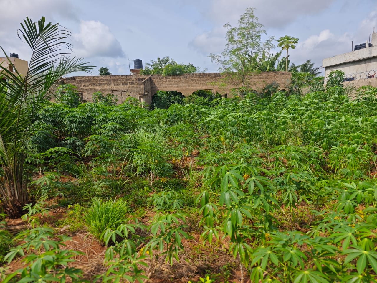 Terrain de 600 m² en vente à Agoè Légbassito – 25 000 000 FCFA