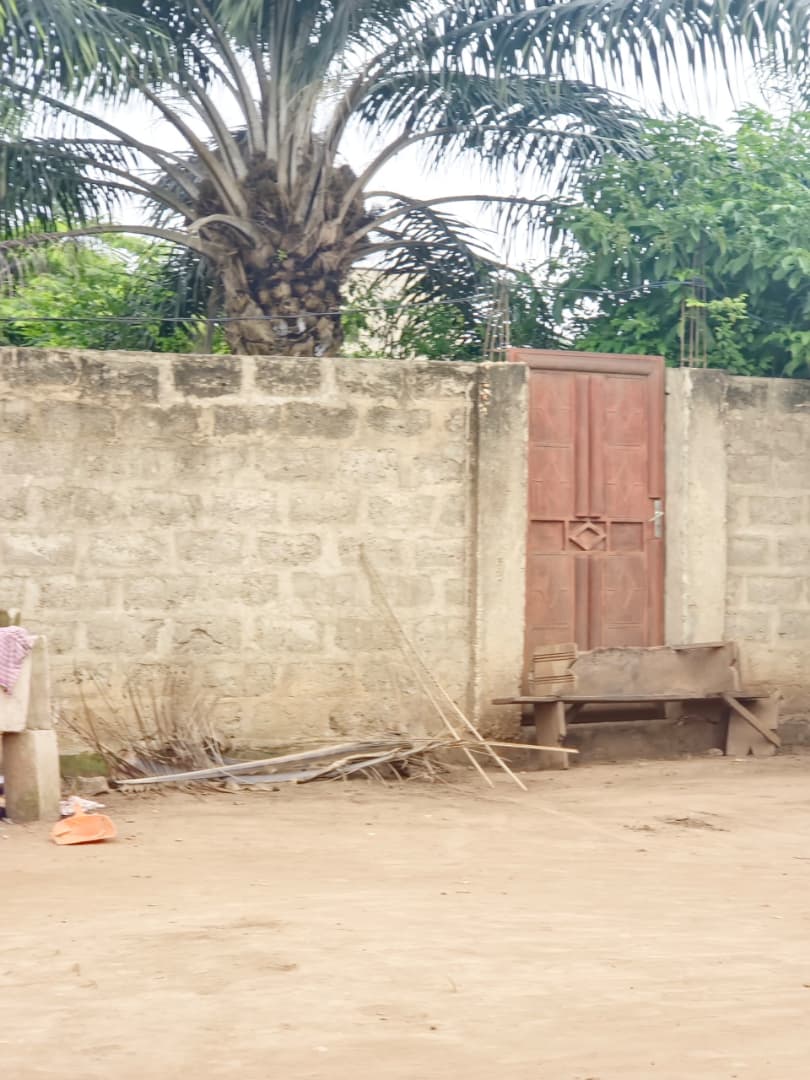 Terrain demi-lot de 300 m² en vente à Legbassito Zovadjin – 11 millions FCFA