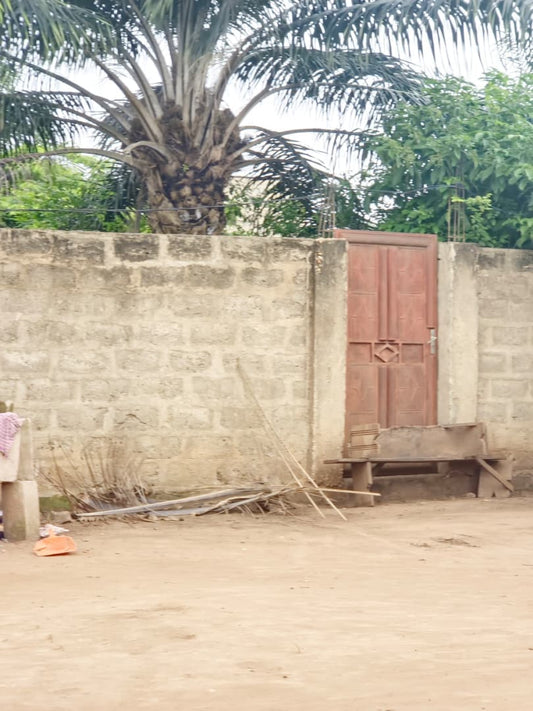Terrain demi-lot de 300 m² en vente à Legbassito Zovadjin – 11 millions FCFA