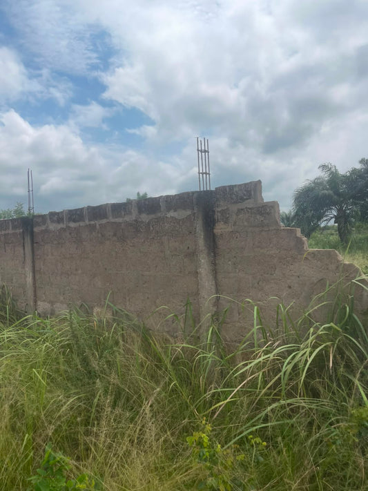 Terrain de 2 lots en vente à Zanguera Akepedo - 12 millions FCFA