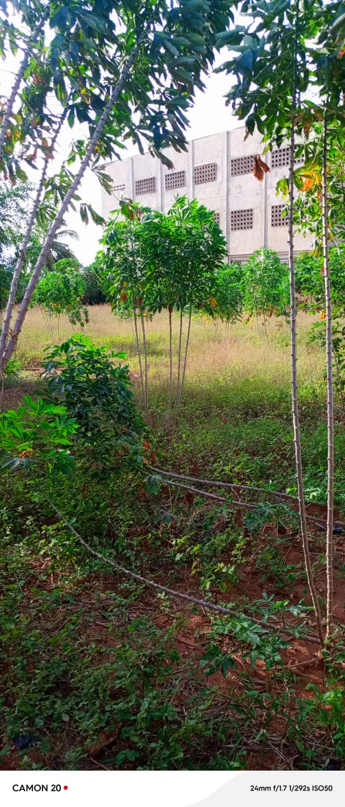 Terrain à vendre à Adidogomé Sagbado – à partir de 15 millions FCFA