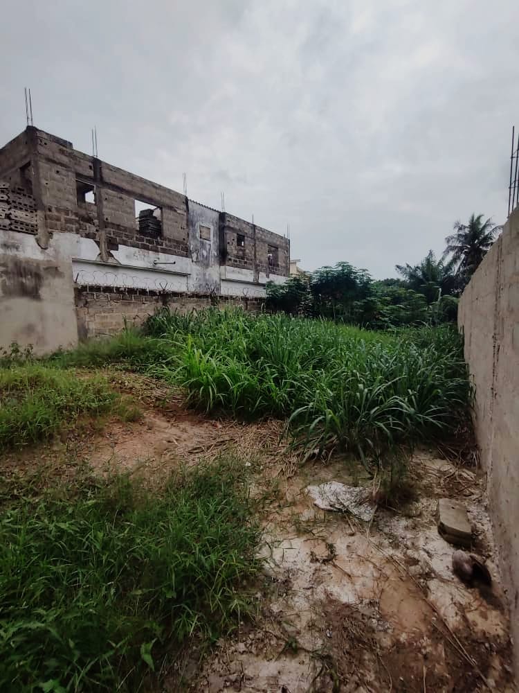 Terrain de 300 m² en vente à Agoè Demakpoè – 25 millions FCFA