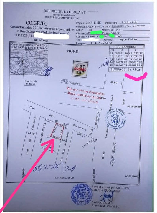Terrain d'un demi-lot en vente en angle de rue à Zanguéra Klikamé – 7 500 000 FCFA