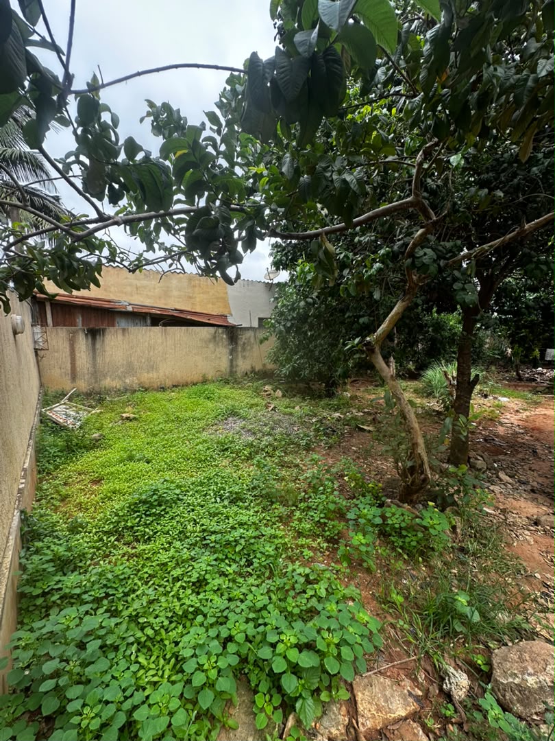 Maison sur demi-lot de 224 m² à vendre à Adidogomé Obena – 13 millions FCFA