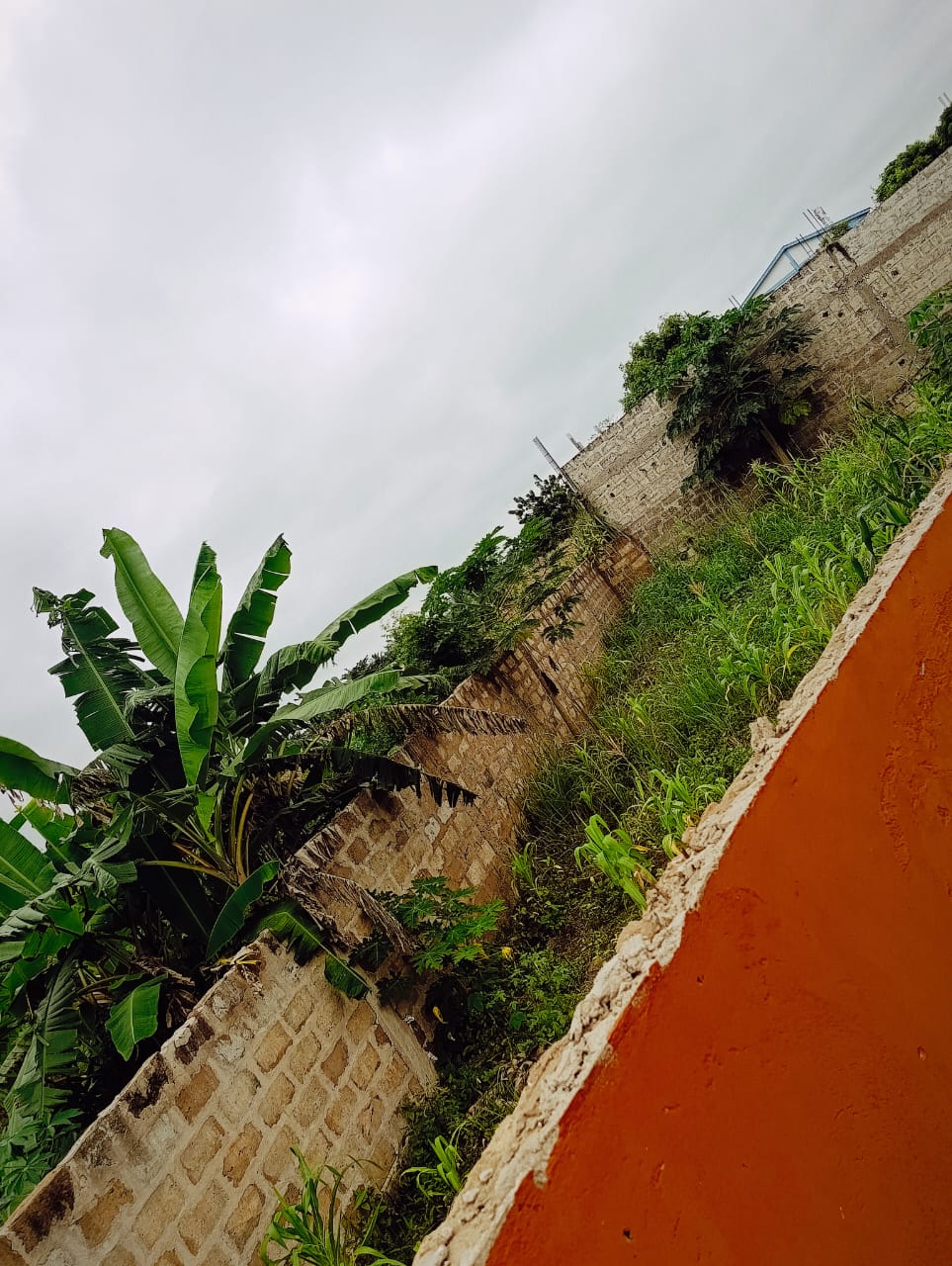 Terrain de 203 m² en vente à Kpalé, angle de rue - 4,5 millions FCFA