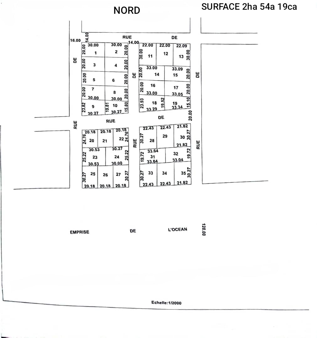 Terrain de 21000 m² en vente en angle de rue en bordure de plage à Agbodrafo Dévikinmé – 25 millions FCFA le lot