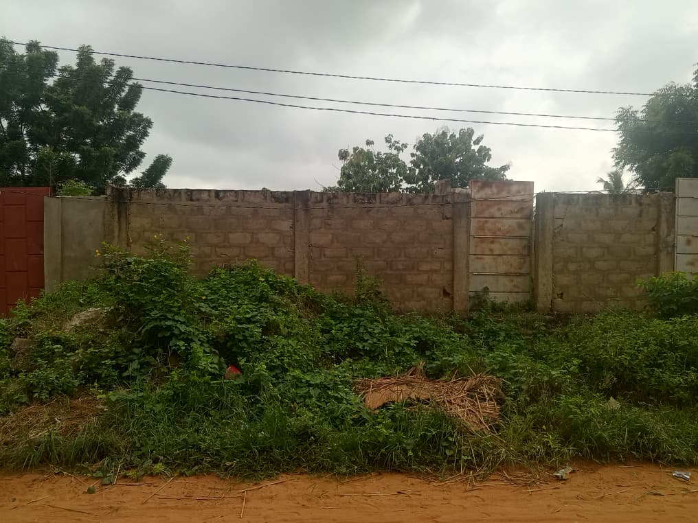 Terrain de 300 m² à vendre à Kloblatemé – 9 millions FCFA