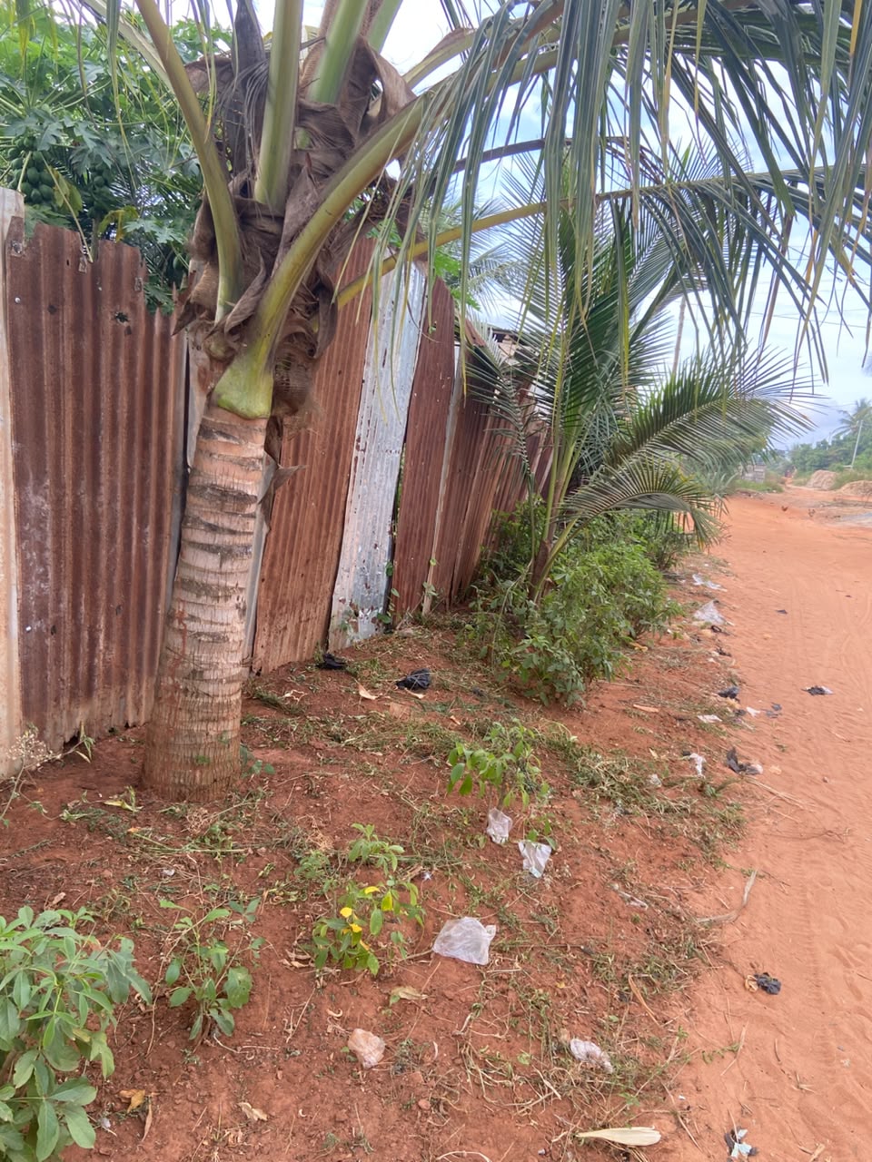 Terrain de 300 m² en vente à Akato derrière Candide – 8 millions FCFA