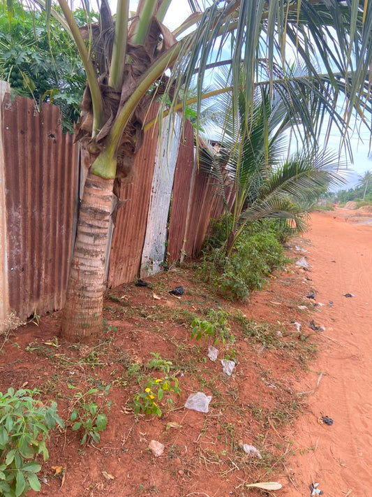 Terrain de 300 m² en vente à Akato derrière Candide – 8 millions FCFA