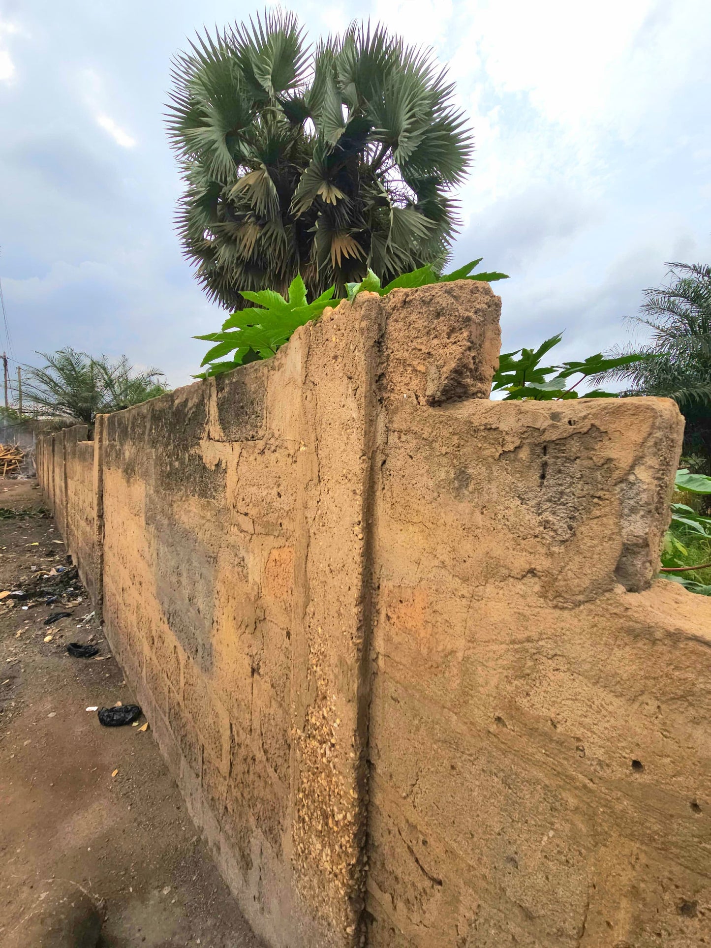 Terrain de 1200 m² en vente au bord du goudron à Agoè Logopé – 80 millions FCFA