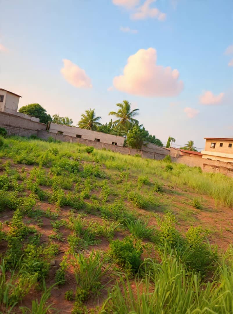 Terrain en vente à Adidogomé – 55 millions FCFA
