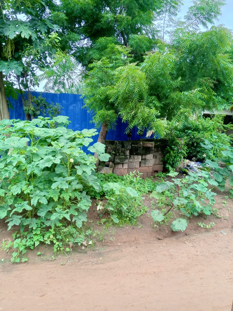 Terrain de 1 lot en vente à Agoè Légbassito – 30 000 000 FCFA
