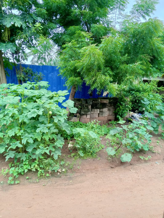Terrain de 1 lot en vente à Agoè Légbassito – 30 000 000 FCFA