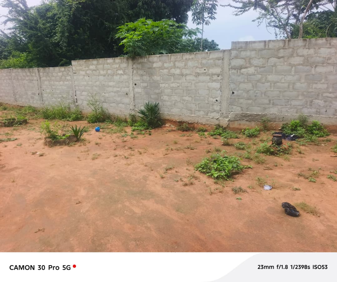 Terrain 2 lots en vente à Agoè Réserve/Mariam – 180 millions FCFA