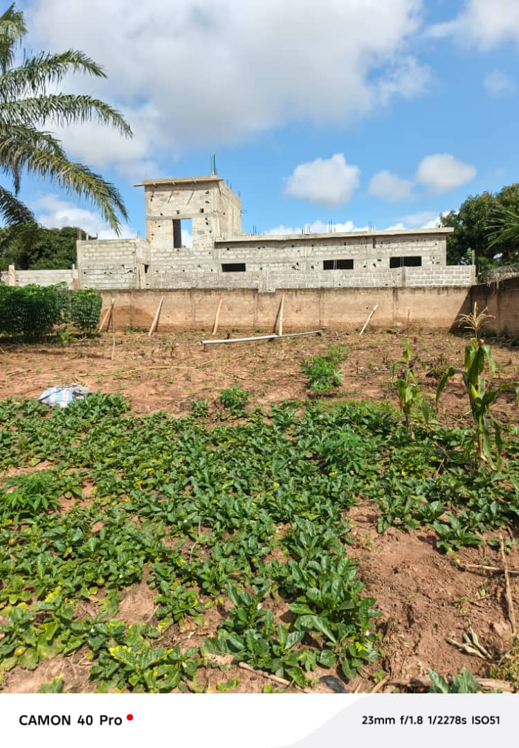 Terrain 1/4 de lot en vente à Zanguera – 5.500.000 FCFA