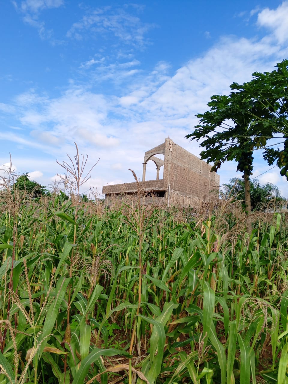 Terrain 2 lots en vente à Apessito Gbezetsan – 13 millions FCFA le lot