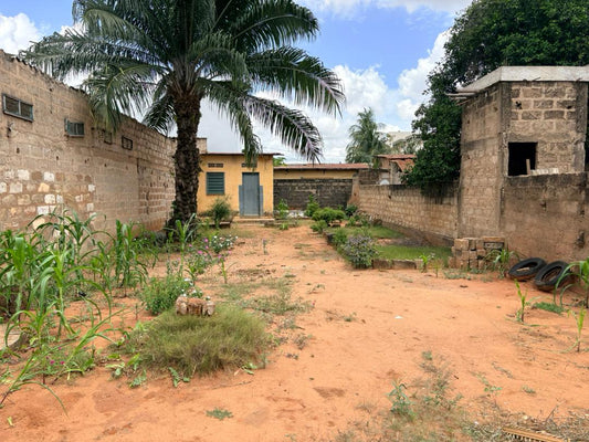 Terrain d'un demi lot clôturé en vente à Totsi Gblinkome – 25 millions FCFA