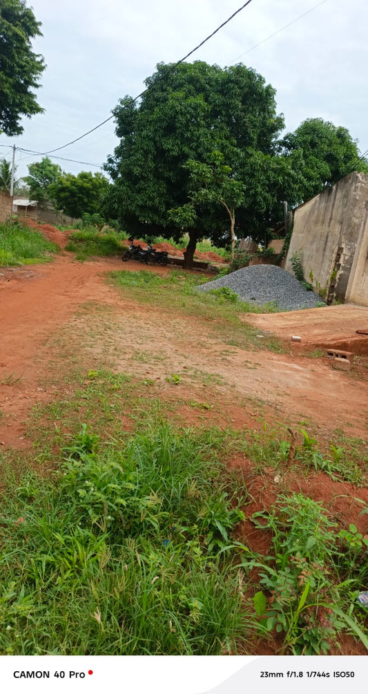 1/2 lot de terrain en vente à Apessito (Légbassito - Mission Tové) – 7 millions FCFA