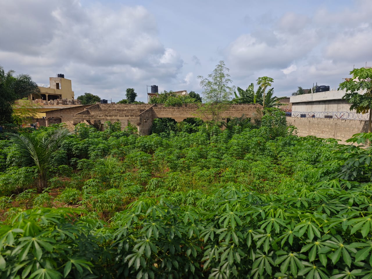 Terrain de 600 m² en vente à Agoè Légbassito – 25 000 000 FCFA