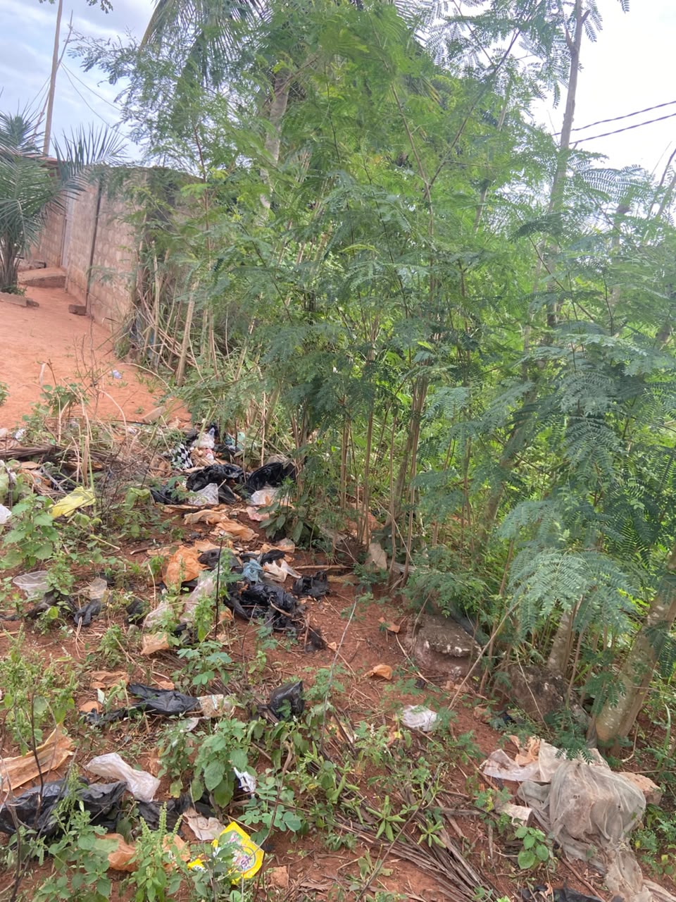 Terrain de 300 m² en vente à Akato derrière Candide – 8 millions FCFA