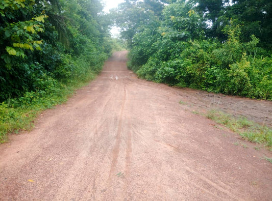 Terrain de 30 hectares en vente à Kpevego – 5 millions FCFA l'hectare