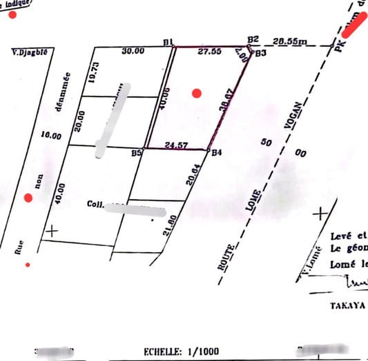 Terrain de 1077 m² à vendre en bord du goudron à Djagblé – 110 millions FCFA