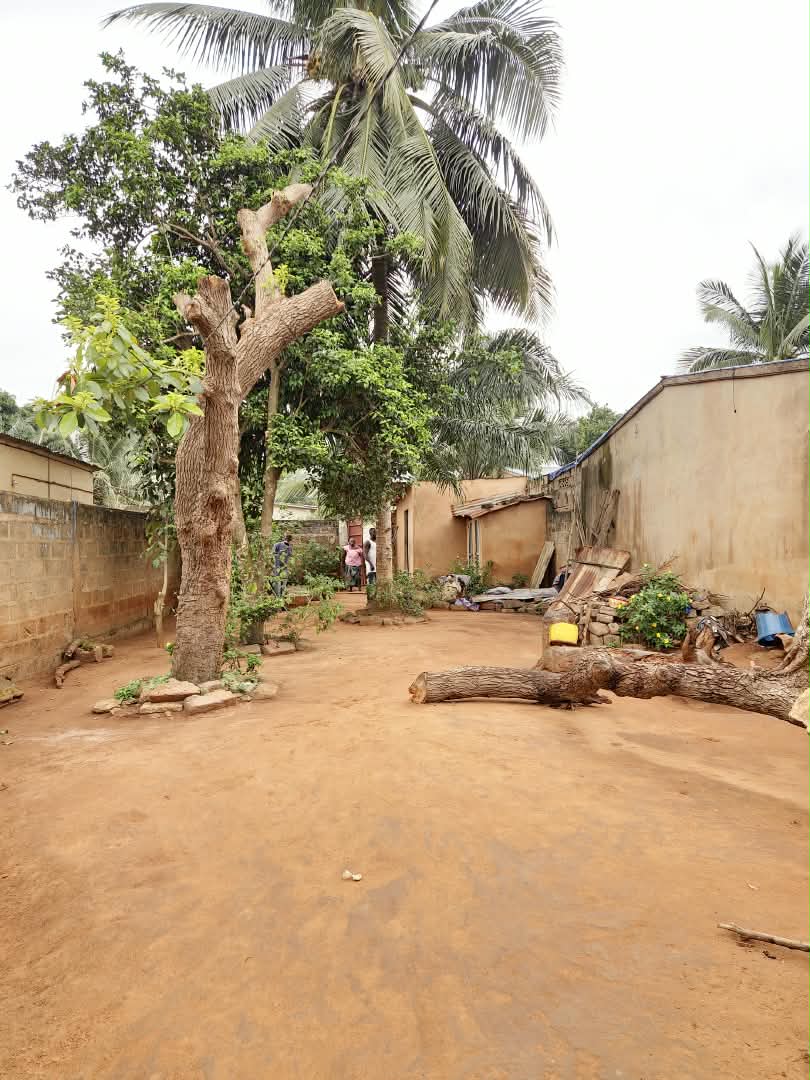 Terrain d'un demi-lot avec 3 pièces et boutique à vendre à Agoè Légbassito – 16 millions FCFA