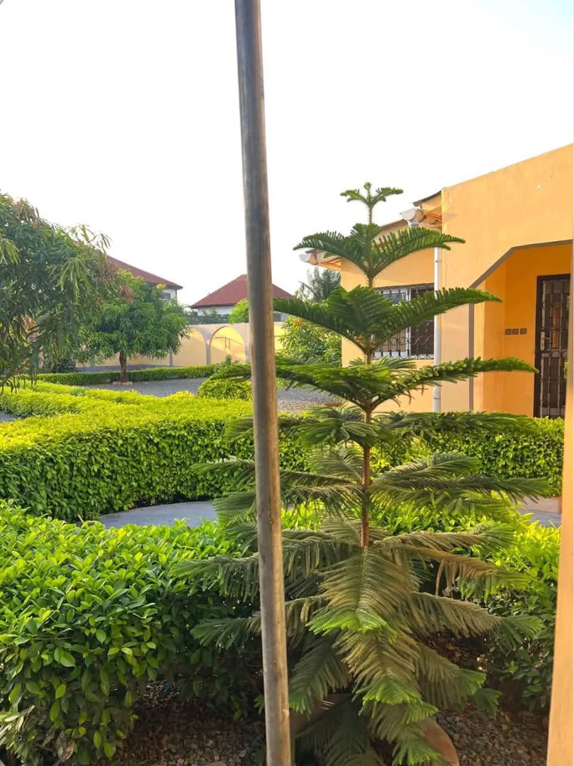 Maison sur 1 lot en vente à Segbé – 35 millions FCFA