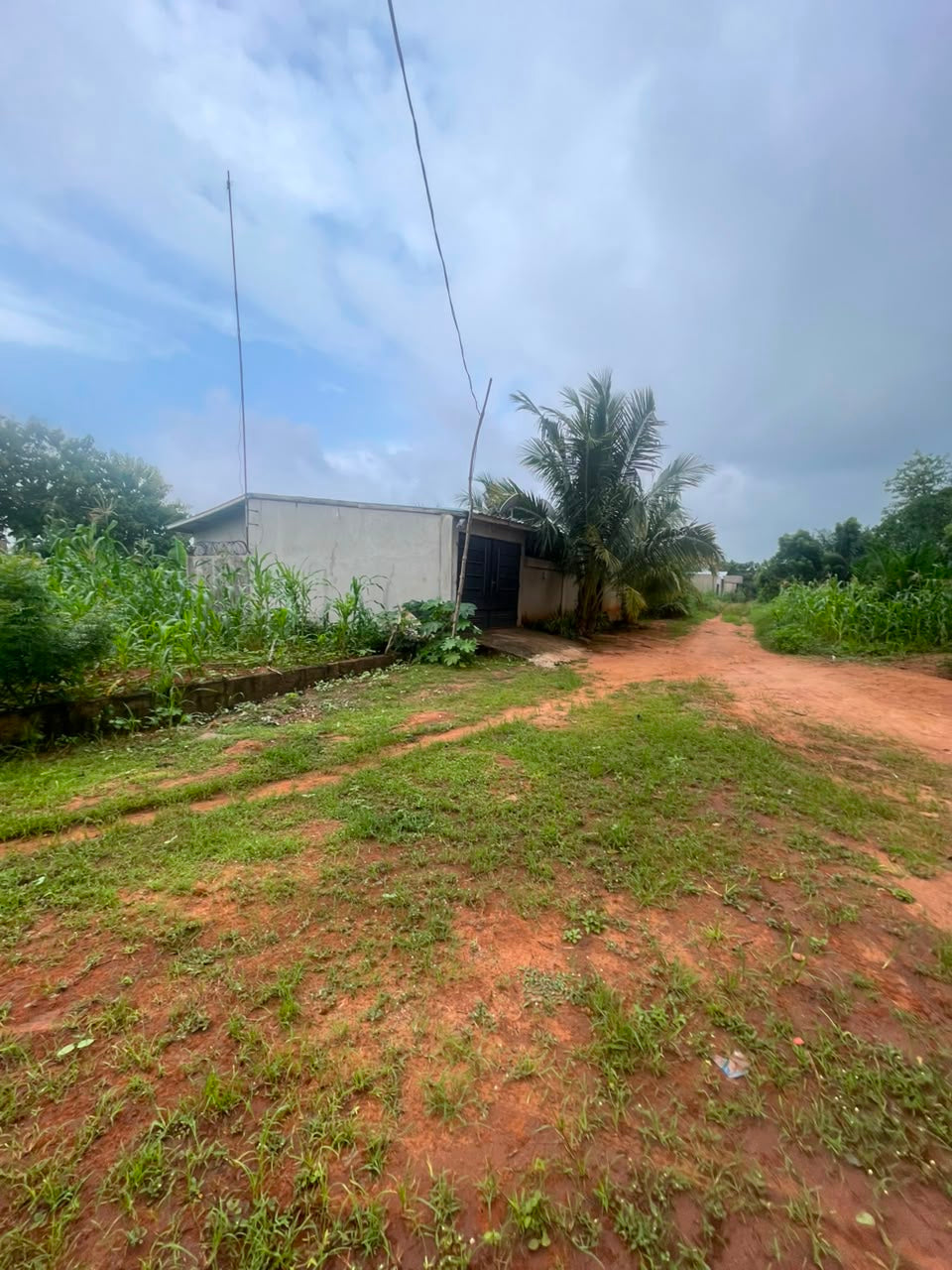 Terrain de 150 m² en vente à Zanguera – 3 500 000 FCFA