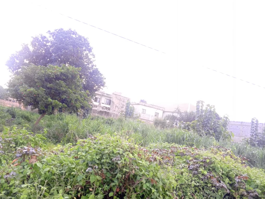 Terrain de 1200 m² en vente en angle de rue à Adidogomé Attigangome – 33 millions FCFA le lot