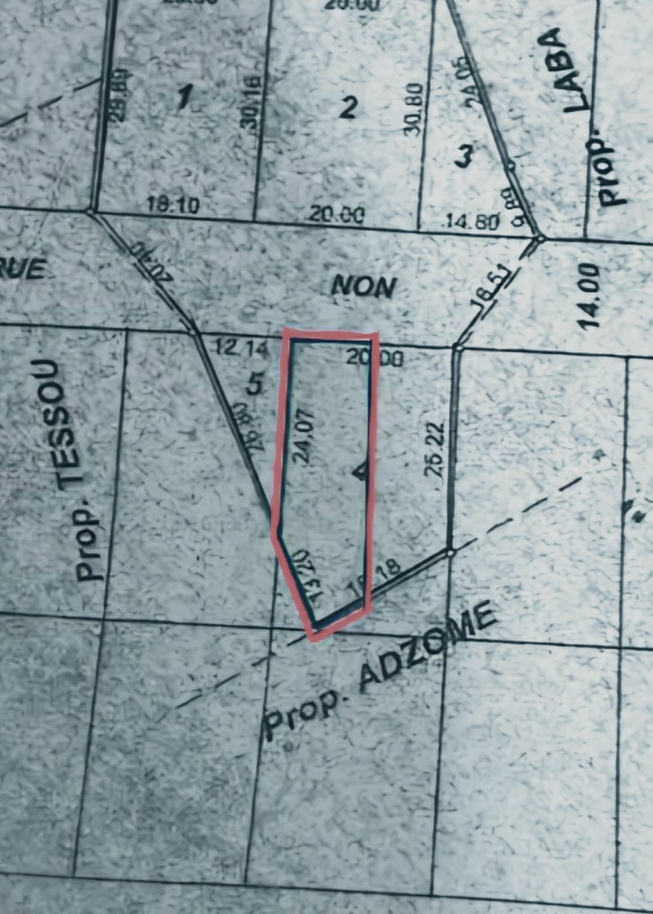 Terrain en vente à Zanguera – 5 500 000 FCFA