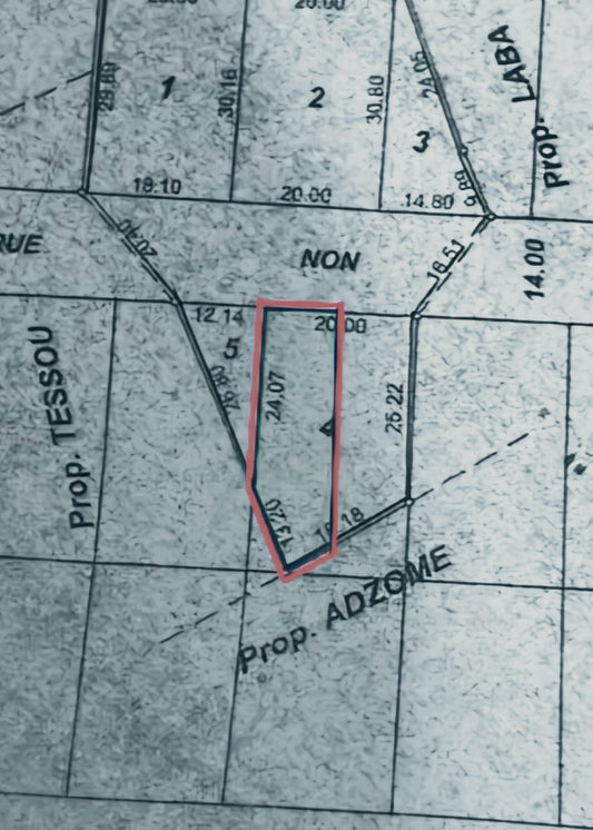 Terrain en vente à Zanguera – 5 500 000 FCFA